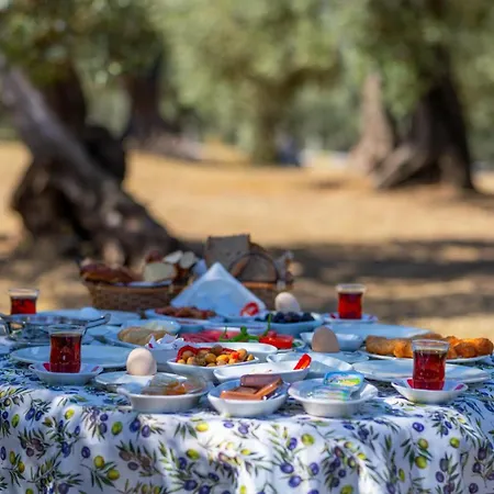 Keremkoey Yasam Platosu Hotel Gomec
